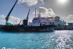 Tug MV Trochetia